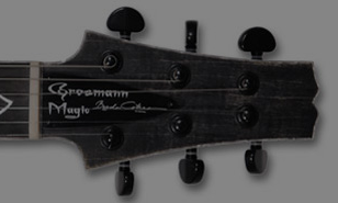 Guitars